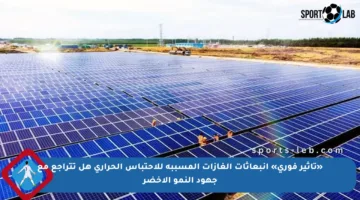 «تأثير فوري» انبعاثات الغازات المسببة للاحتباس الحراري هل تتراجع مع جهود النمو الأخضر